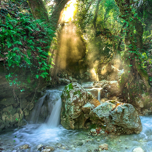 agua tratada para reuso en sanitarios